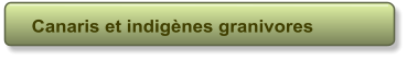 Canaris et indig�nes granivores