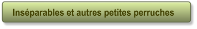 Ins�parables et autres petites perruches