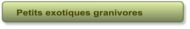Petits exotiques granivores