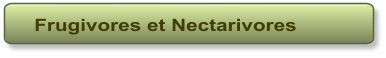 Frugivores et Nectarivores