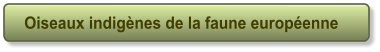 Oiseaux indig�nes de la faune europ�enne