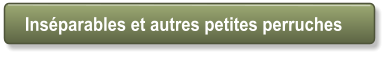 Ins�parables et autres petites perruches