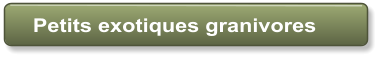 Petits exotiques granivores