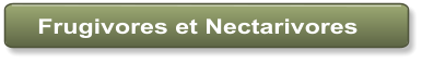 Frugivores et Nectarivores