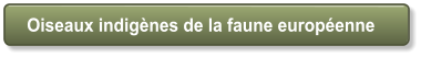 Oiseaux indig�nes de la faune europ�enne