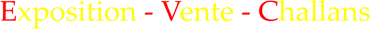 Exposition - Vente - Challans